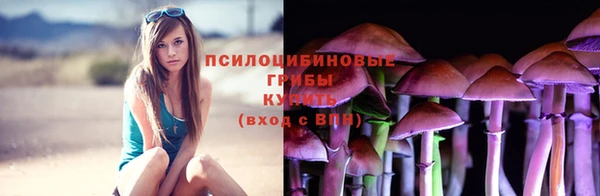 трава Краснотурьинск