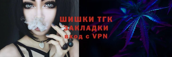 тгк Краснослободск