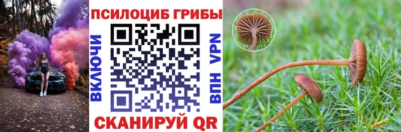 Купить  Зеленогорск  Галлюциногенные грибы MAGIC MUSHROOMS 